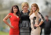 23 January 2014; Naomi Burke, Kim Cosgrave and Tara Costello, from Kilcoole, Co. Wicklow, at the Thyestes Chase Race Day, Gowran Park, Gowran, Co. Kilkenny. Picture credit: Matt Browne / SPORTSFILE