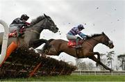 23 January 2014; Knockrea, with Adrian Heskin up, who finished fourth, jumps the last ahead of eventual winner The Winkler, with Michael Butler up, during the Four Star Langton House Hotel Maiden Hurdle. Gowran Park, Gowran, Co. Kilkenny. Picture credit: Matt Browne / SPORTSFILE