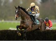 23 January 2014; On His Own, with Paul Townend up, jumps the last on their way to winning the Goffs Thyestes Handicap Steeplechase. Gowran Park, Gowran, Co. Kilkenny. Picture credit: Matt Browne / SPORTSFILE