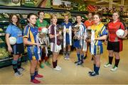 24 January 2014; Pictured at the launch of the 2014 TESCO Homegrown Ladies National Football League are players, from left, Noelle Healy, Dublin, Lucy Mulhall, Wicklow, Aisling Tarpey, Mayo, Sinead Burke, Galway, Samantha Lambert, Tipperary, Sharon Courtney, Monaghan, Caroline O'Hanlon, Armagh, Niamh Ward, Roscommon, and Kyla Traynor, Down. The League gets underway on Sunday February 2nd with 30 counties competing in 4 Divisions. There are 7 rounds with the top 4 teams in each division proceeding to the semi finals and the bottom team being relegated. The Division 1,2 and 3 finals take place in Parnell Park on May 10th and will be televised live on TG4. Tesco, Clarehall, Dublin. Picture credit: David Maher / SPORTSFILE