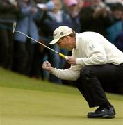 22 May 2005; David Howell, England, celebrates his birdie putt on the 18th green to get him into a play off. Nissan Irish Open Golf Championship on the 18th green. Carton House Golf Club, Maynooth, Co. Kildare. Picture credit; Matt Browne / SPORTSFILE