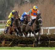 25 January 2014; Mister Nibbles, with Steven Crawford up, right, leads Champagne Jones, with Danny Mullins up, on their way to winning the January Jumps Weekend Maiden Hurdle. Leopardstown Racecourse, Leopardstown, Co. Dublin. Picture credit: Ramsey Cardy / SPORTSFILE