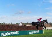 25 January 2014; Bright New Dawn, with Bryan Cooper up, leads over the first hurdle of the Boylesports.com Killiney Novice Steeplechase. Leopardstown Racecourse, Leopardstown, Co. Dublin. Picture credit: Ramsey Cardy / SPORTSFILE
