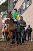 25 January 2014; Living Next Door, with Alan Crowe up, 'going to post' before the Leopardstown Handicap Steeplechase. Leopardstown Racecourse, Leopardstown, Co. Dublin. Picture credit: Ramsey Cardy / SPORTSFILE