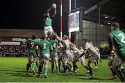25 January 2014; Dan Tuohy, Ireland Wolfhounds wins a lineout. Representative Fixture, England Saxons v Ireland Wolfhounds, Kingsholm, Gloucester, England. Picture credit: Rogan Thomson / SPORTSFILE