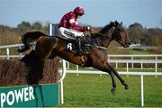 26 January 2014; Trifolium, with Byan Cooper up, clears the last on their way to winning The Frank Ward Solicitors Arkle Novice Steeplechase. Leopardstown Racecourse, Leopardstown, Co. Dublin. Picture credit: Barry Cregg / SPORTSFILE