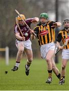 26 January 2014; Sylvie 'Og' Linnane, Galway, in action against Henry Shefflin, Kilkenny. Bord Na Mona Walsh Cup, Semi-Final, Kilkenny v Galway, St. Lachtain's GAA Club, Freshford, Co. Kilkenny. Picture credit: Ray McManus / SPORTSFILE