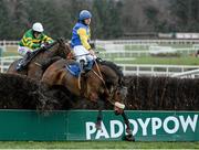 26 January 2014; Tabhachtach, with Mark Slevin up, jumps awkwardly over the last despite going on to finish in second place in the Leopardstown Racecourse Handicap Steeplechase. Leopardstown Racecourse, Leopardstown, Co. Dublin. Picture credit: Barry Cregg / SPORTSFILE
