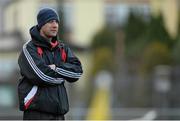 26 January 2014; UCC manager Eddie Enright. Waterford Crystal Cup Semi-Final, Clare v University College Cork. Sixmilebridge, Co. Clare. Picture credit: Diarmuid Greene / SPORTSFILE