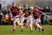 26 January 2014; Tomás Keogh, Kilkenny, in action against Padraig Landers, Galway. Bord Na Mona Walsh Cup, Semi-Final, Kilkenny v Galway, St. Lachtain's GAA Club, Freshford, Co. Kilkenny. Picture credit: Ray McManus / SPORTSFILE