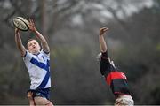 28 January 2014; Ben Ryan, St. Andrew's College, jumps in the line out against  Ryan Baird, The High School. Fr. Godfrey Cup, Semi-Final, St. Andrew's College v The High School, Ballycorus, Kiltiernan, Co. Dublin. Picture credit: David Maher / SPORTSFILE
