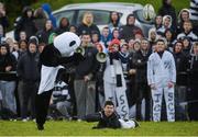 29 January 2014; The Belvedere College mascot attempts a conversion during the half time break. Beauchamps Leinster Schools Senior Cup, 1st Round, Belvedere College v Wesley College, Balbriggan RFC, Co. Dublin. Picture credit: Ramsey Cardy / SPORTSFILE