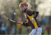 26 January 2014; Andrew Shore, Wexford. Bord Na Mona Walsh Cup, Semi-Final, Wexford v Dublin. Pairc Ui Suiochan, Gorey, Co Wexford. Picture credit: Matt Browne / SPORTSFILE