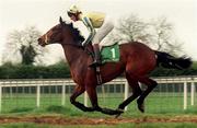 5 April 1999; Dance So Sweet, with Norman Williamson up, canters to the start prior to the Jameson Gold Cup Novice Hurdle at Fairyhouse Racecourse in Ratoath, Meath. Photo by Matt Browne/Sportsfile