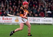 28 March 1999; Johnny Butler of Kilkenny during the Church and General National Hurling League Division 1B match between Kilkenny and Tipperary at Nowlan Park in Kilkenny. Photo by Matt Browne/Sportsfile