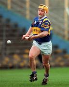21 March 1999; Liam Cahill of Tipperary during the Church and General National Hurling League Division 1B match between Tipperary and Wexford at Semple Stadium in Thurles, Tipperary. Photo by Ray McManus/Sportsfile