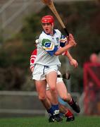 27 March 1999; Michael White of Waterford during the Church and General National Hurling League Division 1B match between Cork and Waterford at Páirc Uí Rinn in Cork. Photo by Damien Eagers/Sportsfile