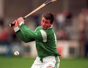 4 April 1999; Mike Houlihan of Limerick during the Church and General National Hurling League Division 1A match between Dublin and Limerick at Parnell Park in Dublin. Photo by Ray McManus/Sportsfile