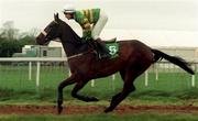 5 April 1999; Cardinal Hill, with Paul Carberry up, canters to the start prior to the Jameson Gold Cup Novice Hurdle at Fairyhouse Racecourse in Ratoath, Meath. Photo by Matt Browne/Sportsfile