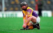 21 March 1999; Sean Flood of Wexford during the Church and General National Hurling League Division 1B match between Tipperary and Wexford at Semple Stadium in Thurles, Tipperary. Photo by Ray McManus/Sportsfile