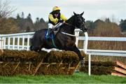 9 February 2014; Guitar Pete, with Barry Geraghty up, clears the last on their way to winning The Gala Retail Spring Juvenile Hurdle. Leopardstown Racecourse, Leopardstown, Co. Dublin. Picture credit: Barry Cregg / SPORTSFILE