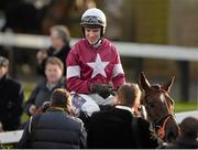 9 February 2014; Jockey Brian O'Connell and Last Instalment are led into the winners enclosure after victory in The Hennessy Gold Cup. Leopardstown Racecourse, Leopardstown, Co. Dublin. Picture credit: Barry Cregg / SPORTSFILE