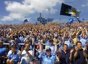 19 June 2005; Dublin supporters cheer on their team from Hill 16. Bank of Ireland Leinster Senior Football Championship Semi-Final, Dublin v Wexford, Croke Park, Dublin. Picture credit; Damien Eagers / SPORTSFILE