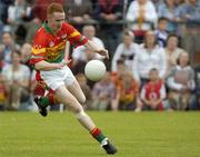 18 June 2005; Brian Kelly, Carlow. Bank of Ireland All-Ireland Senior Football Championship Qualifier, Round 1, Carlow v Offaly, Dr. Cullen Park, Co. Carlow. Picture credit; Damien Eagers / SPORTSFILE