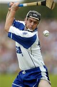 18 June 2005; Paul Flynn, Waterford. Guinness All-Ireland Senior Hurling Championship Qualifier, Round 1, Offaly v Waterford, Dr. Cullen Park, Co. Carlow. Picture credit; Damien Eagers / SPORTSFILE