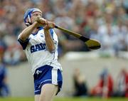 18 June 2005; John Mullane, Waterford. Guinness All-Ireland Senior Hurling Championship Qualifier, Round 1, Offaly v Waterford, Dr. Cullen Park, Co. Carlow. Picture credit; Damien Eagers / SPORTSFILE