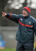 9 February 2014; Cork manager Brian Cuthbert. Allianz Football League, Division 1, Round 2, Cork v Kildare, Páirc Uí RInn, Cork. Picture credit: Matt Browne / SPORTSFILE