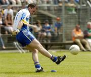26 June 2005; Robert Hollingsworth, Wicklow goalkeeper. Bank of Ireland All-Ireland Senior Football Championship Qualifier, Round 1, Wicklow v Donegal, County Grounds, Aughrim, Co. Wicklow. Picture Credit; Matt Browne / SPORTSFILE