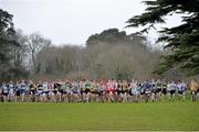 12 February 2014; A general view during the Intermediate Boy's race in the Aviva Leinster Schools Cross Country Championships. Santry Demesne, Santry, Co. Dublin. Picture credit: Ramsey Cardy / SPORTSFILE