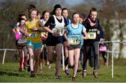 12 February 2014; A general view during the Junior Girl's race during the Aviva Leinster Schools Cross Country Championships. Santry Demesne, Santry, Co. Dublin. Picture credit: Ramsey Cardy / SPORTSFILE