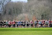 12 February 2014; A general view of the beginning of the Minor Girl's race during the Aviva Leinster Schools Cross Country Championships. Santry Demesne, Santry, Co. Dublin. Picture credit: Ramsey Cardy / SPORTSFILE