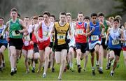 12 February 2014; Alan Monaghan, St. Patrick's Classical School, Navan, Co. Meath, leads the Intermediate Boy's race during the Aviva Leinster Schools Cross Country Championships. Santry Demesne, Santry, Co. Dublin. Picture credit: Ramsey Cardy / SPORTSFILE