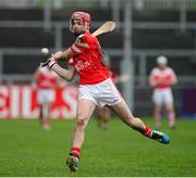 8 February 2014; Liam Watson, Loughgiel Shamrocks. AIB GAA Hurling All-Ireland Senior Club Championship Semi-Final, Mount Leinster Rangers, Carlow v Loughgiel Shamrocks, Antrim. Páirc Elser, Newry, Co. Down. Picture credit: Oliver McVeigh / SPORTSFILE