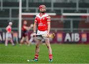 8 February 2014; Liam Watson, Loughgiel Shamrocks. AIB GAA Hurling All-Ireland Senior Club Championship Semi-Final, Mount Leinster Rangers, Carlow v Loughgiel Shamrocks, Antrim. Páirc Elser, Newry, Co. Down. Picture credit: Oliver McVeigh / SPORTSFILE