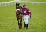 15 February 2014; Jockey Bryan Cooper walks Bog Warrior from the course after being unseated at the second last in the Red Mills Steeplechase. Gowran Park, Gowran, Co. Kilkenny. Picture credit: Barry Cregg / SPORTSFILE