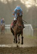 15 February 2014; Un De Sceaux, with Ruby Walsh up, make their way to post ahead of the Red Mills Trial Hurdle. Gowran Park, Gowran, Co. Kilkenny. Picture credit: Barry Cregg / SPORTSFILE