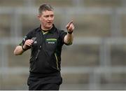 16 February 2014; Referee Barry Kelly. Allianz Hurling League, Division 1B, Round 1, Offaly v Laois, O'Connor Park, Tullamore, Co. Offaly. Picture credit: David Maher / SPORTSFILE