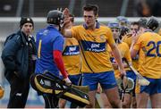 16 February 2014; Clare's Conor Ryan celebrates with goalkeeper Donal Tuohy after victory over Kilkenny. Allianz Hurling League, Division 1A, Round 1, Clare v Kilkenny, Cusack Park, Ennis, Co. Clare. Picture credit: Diarmuid Greene / SPORTSFILE
