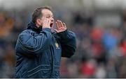 16 February 2014; Clare manager Davy Fitzgerald. Allianz Hurling League, Division 1A, Round 1, Clare v Kilkenny, Cusack Park, Ennis, Co. Clare. Picture credit: Diarmuid Greene / SPORTSFILE