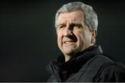 14 February 2014; Lyn Jones, Director of Rugby, Newport Gwent Dragons. Celtic League 2013/14 Round 14, Leinster v Newport Gwent Dragons, RDS, Ballsbridge, Dublin. Picture credit: Ray Lohan / SPORTSFILE