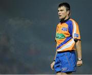 14 February 2014; Marius Mitrea, referee. Celtic League 2013/14 Round 14, Leinster v Newport Gwent Dragons, RDS, Ballsbridge, Dublin. Picture credit: Piaras Ó Mídheach / SPORTSFILE