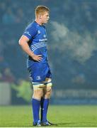 14 February 2014; Tom Denton, Leinster. Celtic League 2013/14 Round 14, Leinster v Newport Gwent Dragons, RDS, Ballsbridge, Dublin. Picture credit: Piaras Ó Mídheach / SPORTSFILE