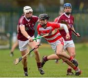 19 February 2014; Conor Hammersley, Cork Institute of Technology, in action against Dean Higgins, left, and Robbie Greville, N.U.I. Galway. Irish Daily Mail HE GAA Fitzgibbon Cup 2014, Quarter-Final, Cork Institute of Technology v N.U.I. Galway, Cork Institute of Technology, Bishopstown, Cork. Picture credit: Matt Browne / SPORTSFILE