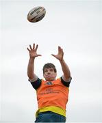 19 February 2014; Munster's Donncha O'Callaghan wins possession in a lineout during squad training ahead of their Celtic League 2013/14, Round 15, match against Ospreys on Sunday. Munster Rugby Squad Training, University of Limerick, Limerick. Picture credit: Diarmuid Greene / SPORTSFILE