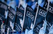 23 February 2014; Dublin flags await the arrival of supporters at Parnell Park ahead of the game. Allianz Hurling League, Division 1A, Round 2, Dublin v Clare, Parnell Park, Dublin. Picture credit: Stephen McCarthy / SPORTSFILE