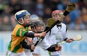 23 February 2014; Members of the Faughs GAA Club Under 11 hurling team play in an inter team game at half time during the Dublin v Clare, Allianz Hurling League, Division 1A Round 2, game at Parnell Park, Dublin. Picture credit: Stephen McCarthy / SPORTSFILE